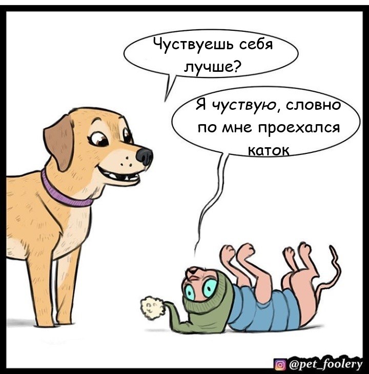 Спасительные объятия - Комиксы, Длиннопост, Pet Foolery, Лола и Мистер Морщинка