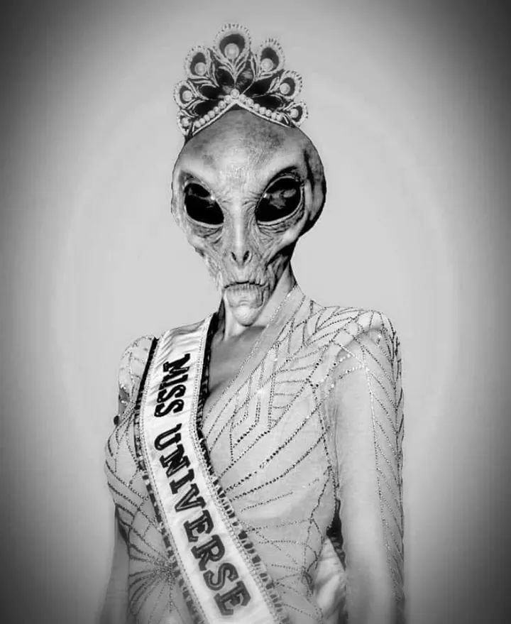 Miss Universe - Images, Humor