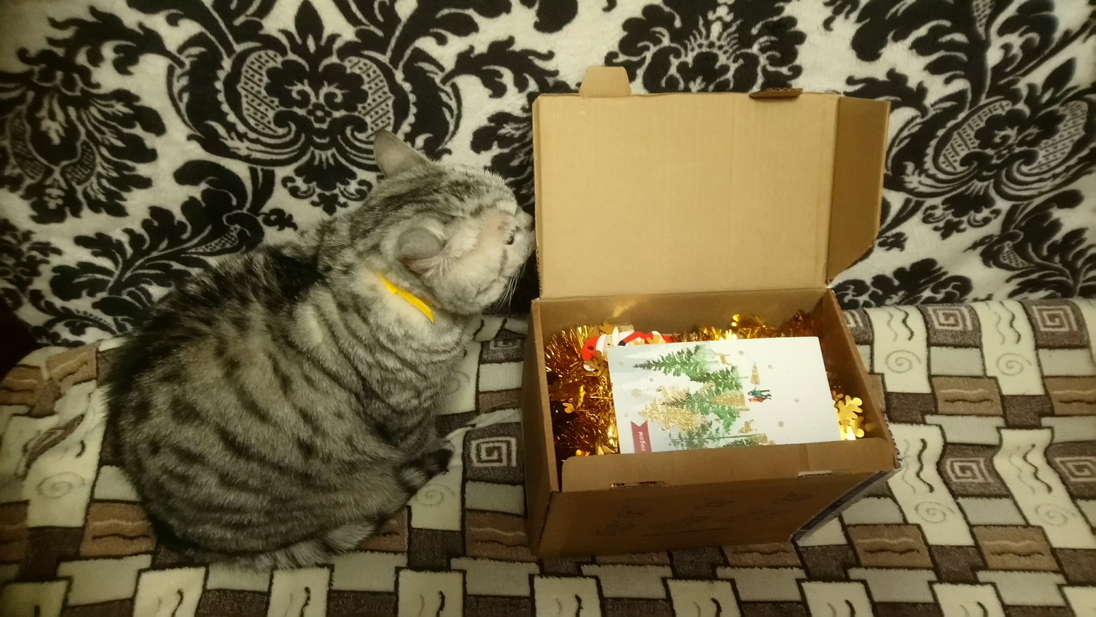 And we have a New Year! - My, Secret Santa, Gift exchange report, New Year, Longpost