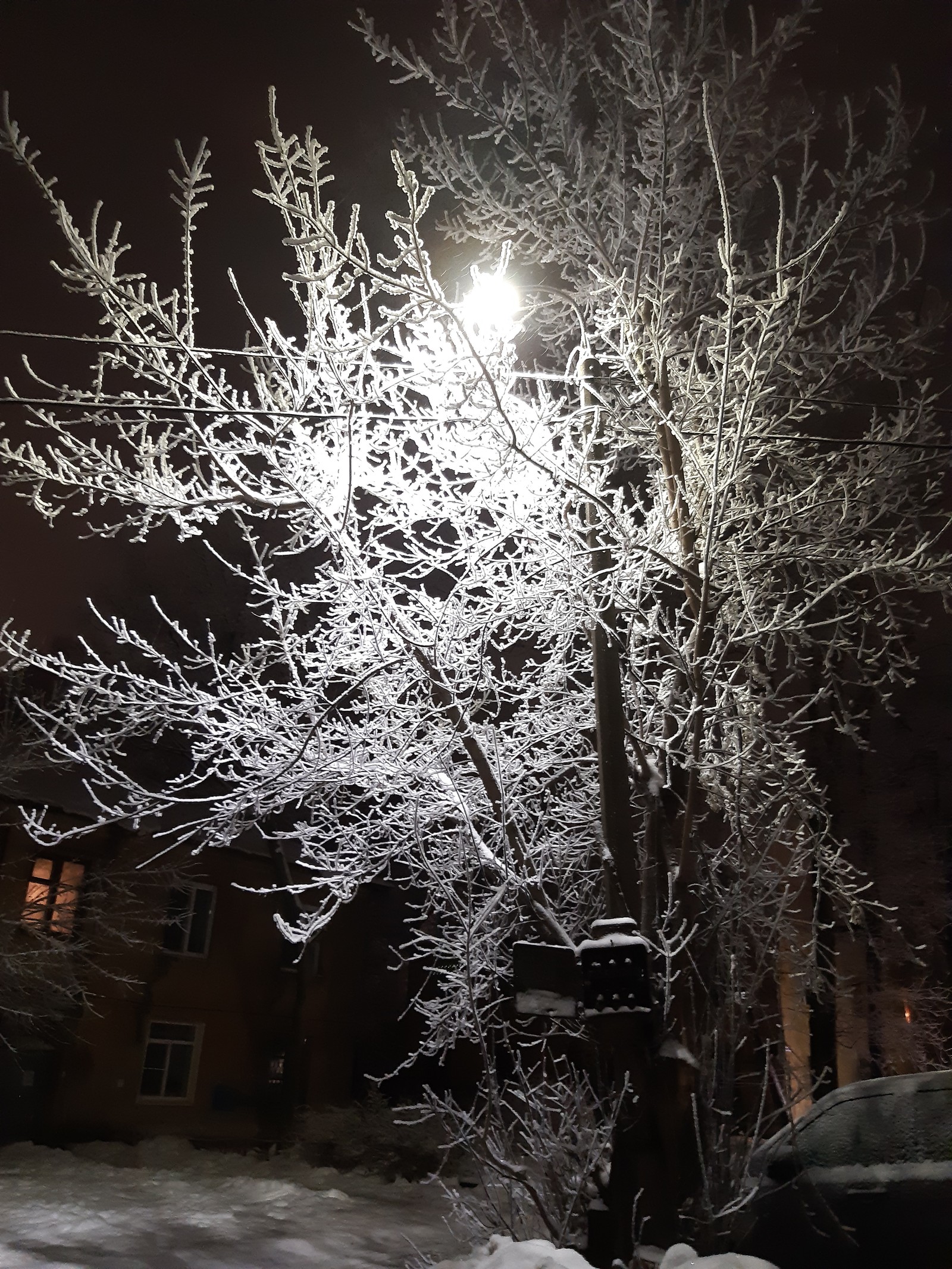 Night. The street. Lamp. - My, Winter, The photo, beauty of nature