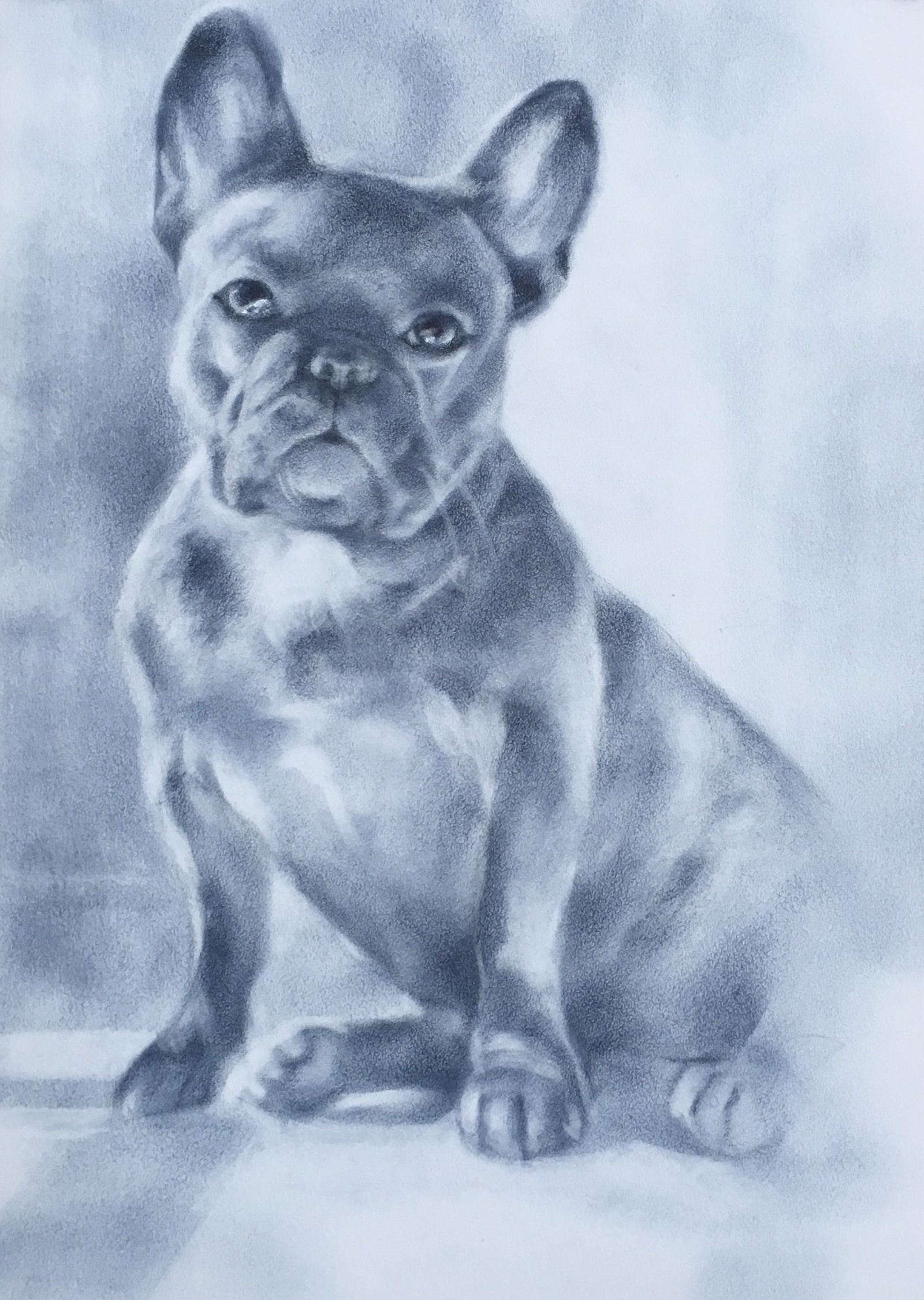 french bulldog - My, Dog, Bulldog, Luboff00, Graphics, Dry brush, Drawing, Animalistics, Animals