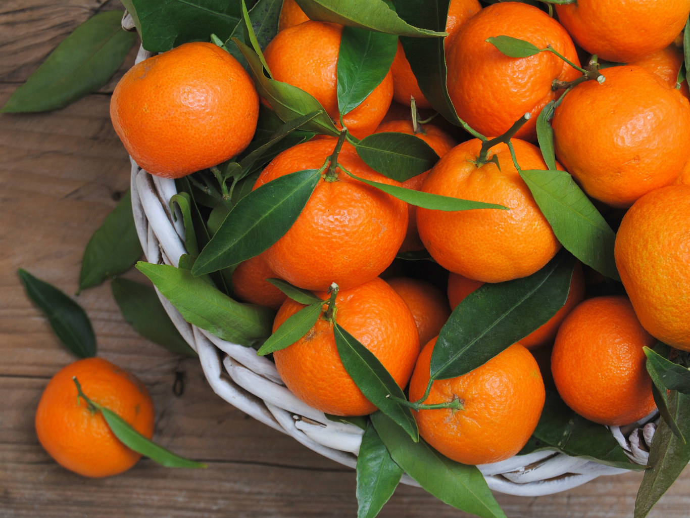 The secret of the Abkhaz tangerines - Abkhazia, Tangerines, Longpost