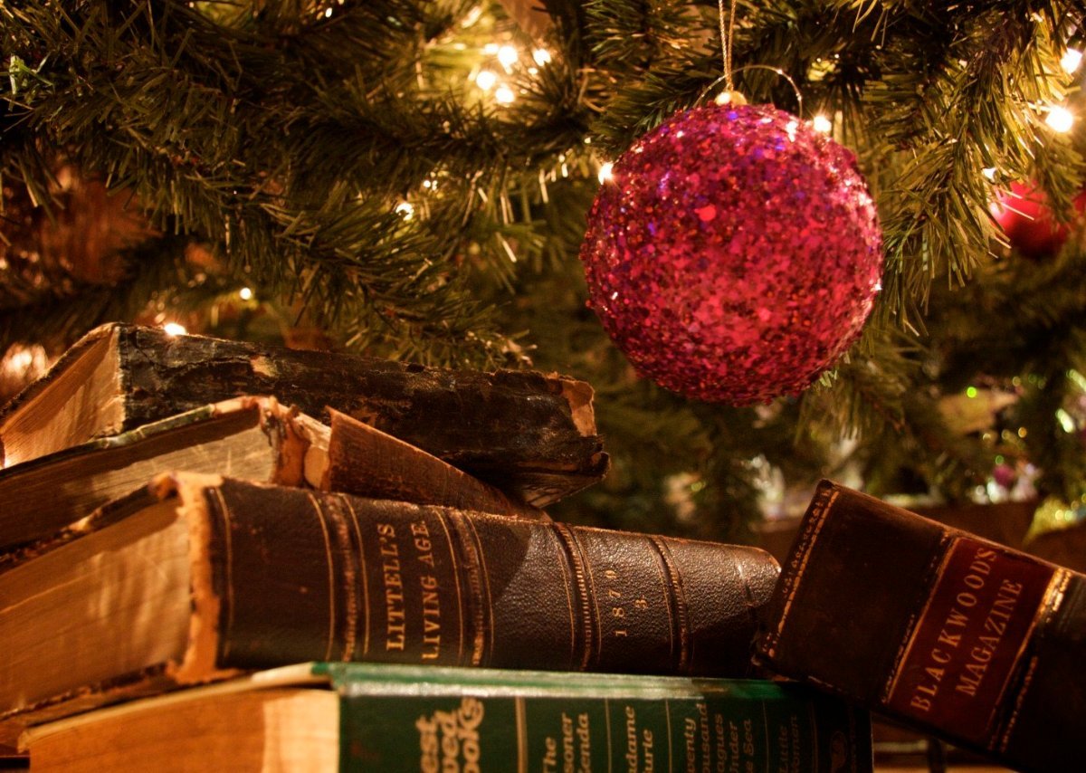 Books with a New Year's mood - Books, Mood, New Year, Winter, List, Recommend a book, Longpost
