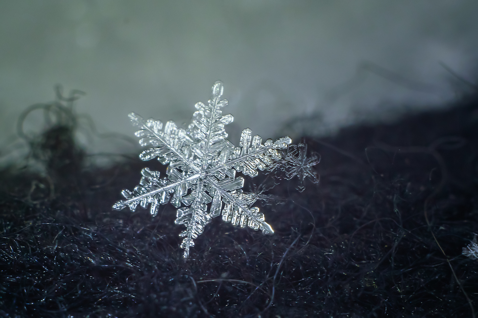 Macro... - My, Nikon d5300, Macro, Snowflake, Helios 44m, The photo, Macro photography, Helios 44m