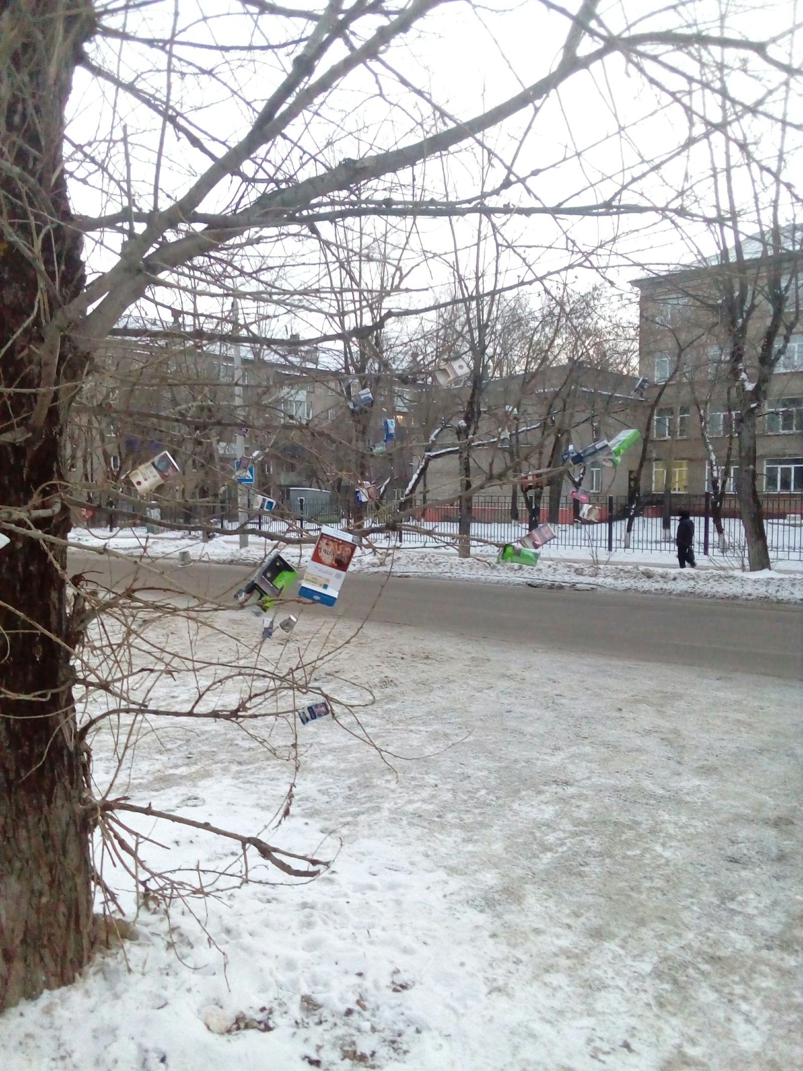 Дерево у техникума где все курят - Техникум, Курение, Пермь, Мусор, Новости, Длиннопост