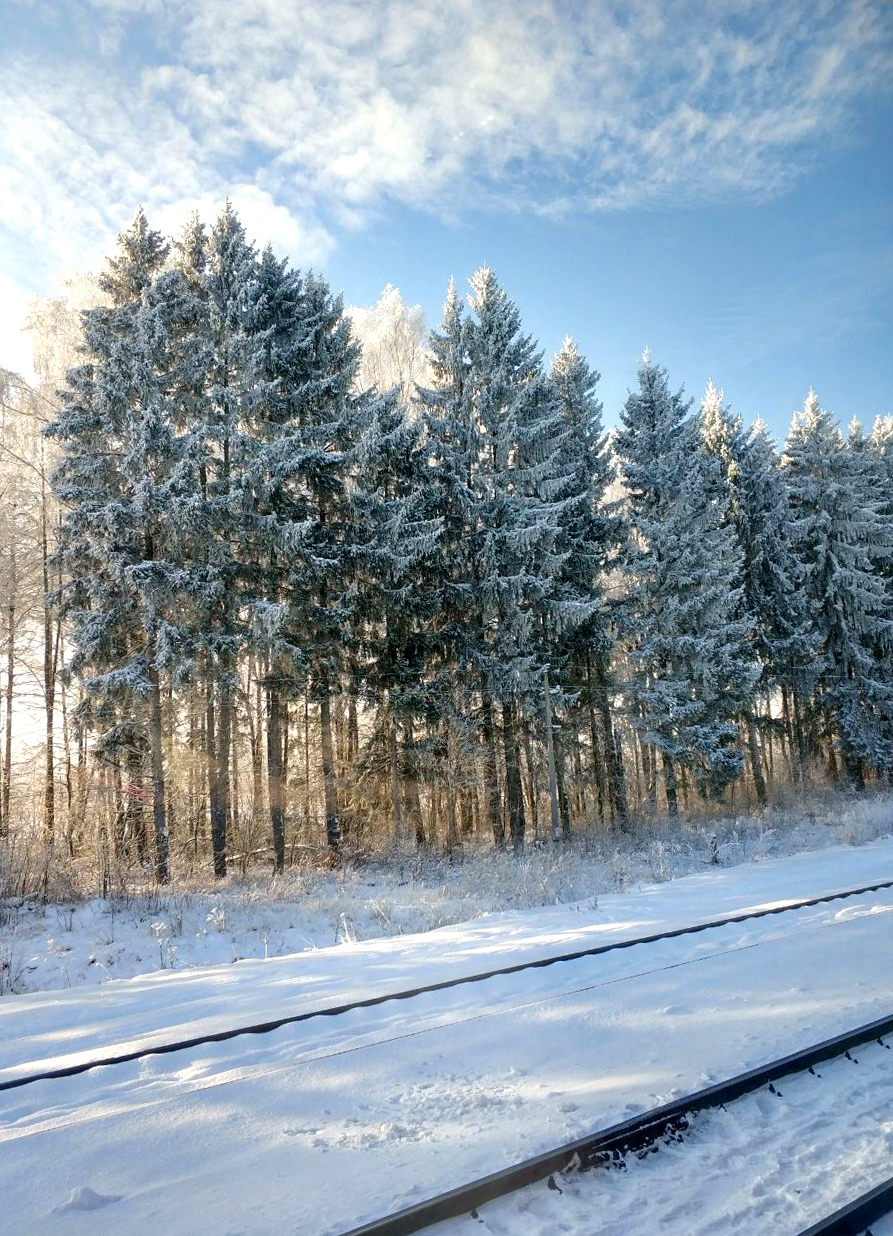 Winter road - My, Winter, The photo, Mobile photography, Nature, The nature of Russia