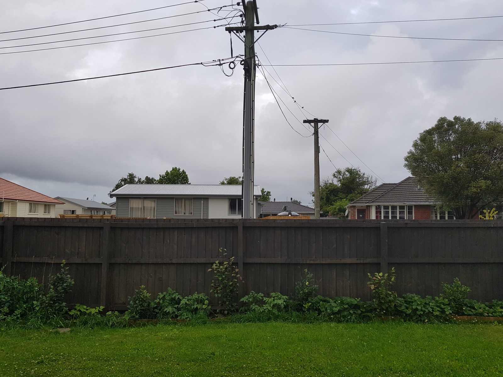 View from the window of a house in New Zealand - My, Humor, New Zealand, The photo