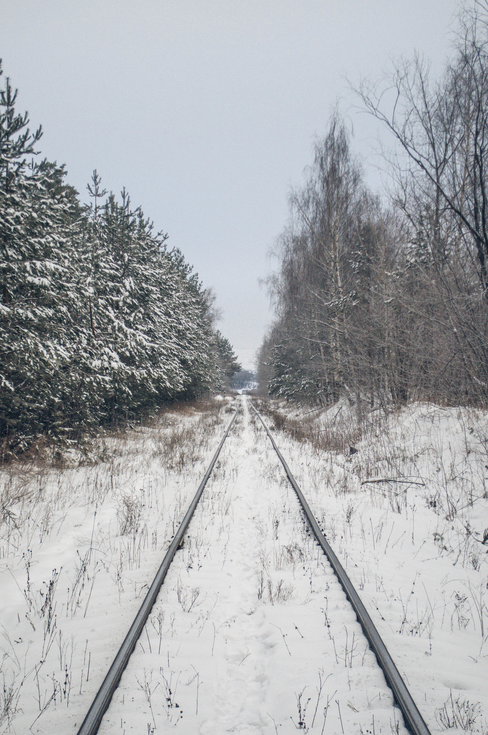 Photo walk. - My, The photo, Landscape, Winter, Nature, Hike, Russia, Kazan, Lebyazhye, Longpost