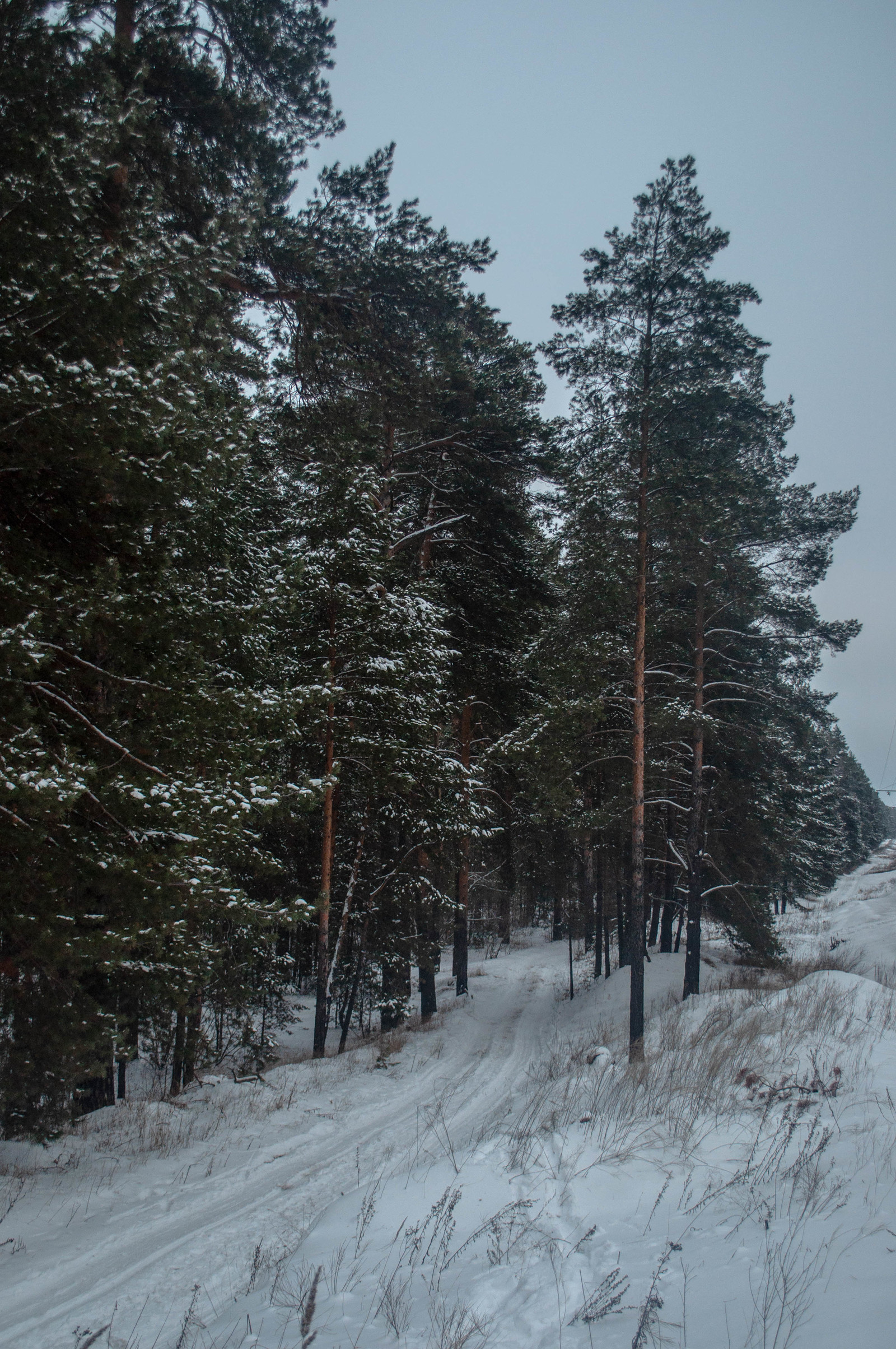 Photo walk. - My, The photo, Landscape, Winter, Nature, Hike, Russia, Kazan, Lebyazhye, Longpost