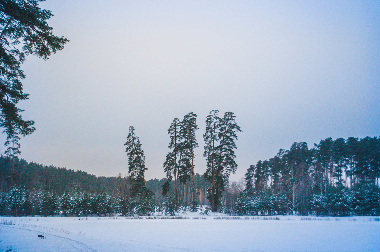 Photo walk. - My, The photo, Landscape, Winter, Nature, Hike, Russia, Kazan, Lebyazhye, Longpost