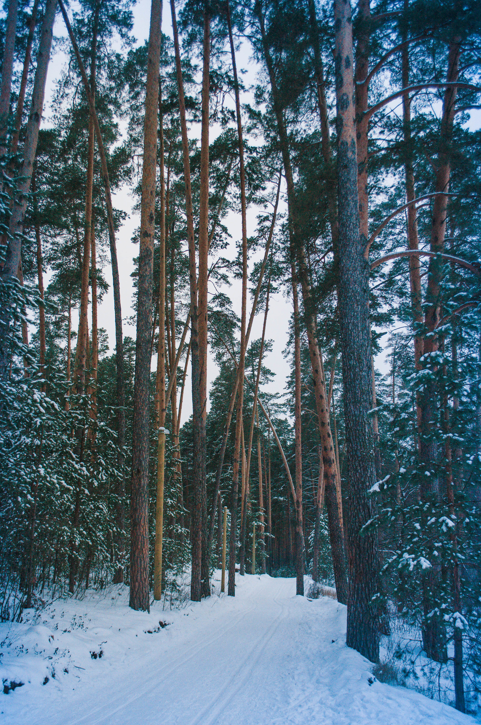 Photo walk. - My, The photo, Landscape, Winter, Nature, Hike, Russia, Kazan, Lebyazhye, Longpost