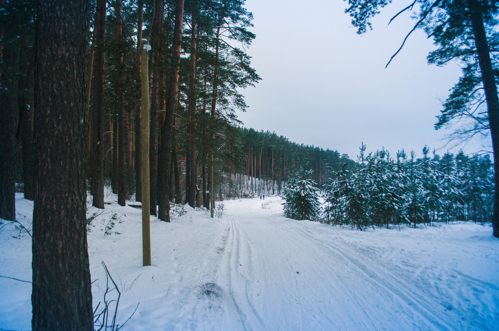 Photo walk. - My, The photo, Landscape, Winter, Nature, Hike, Russia, Kazan, Lebyazhye, Longpost