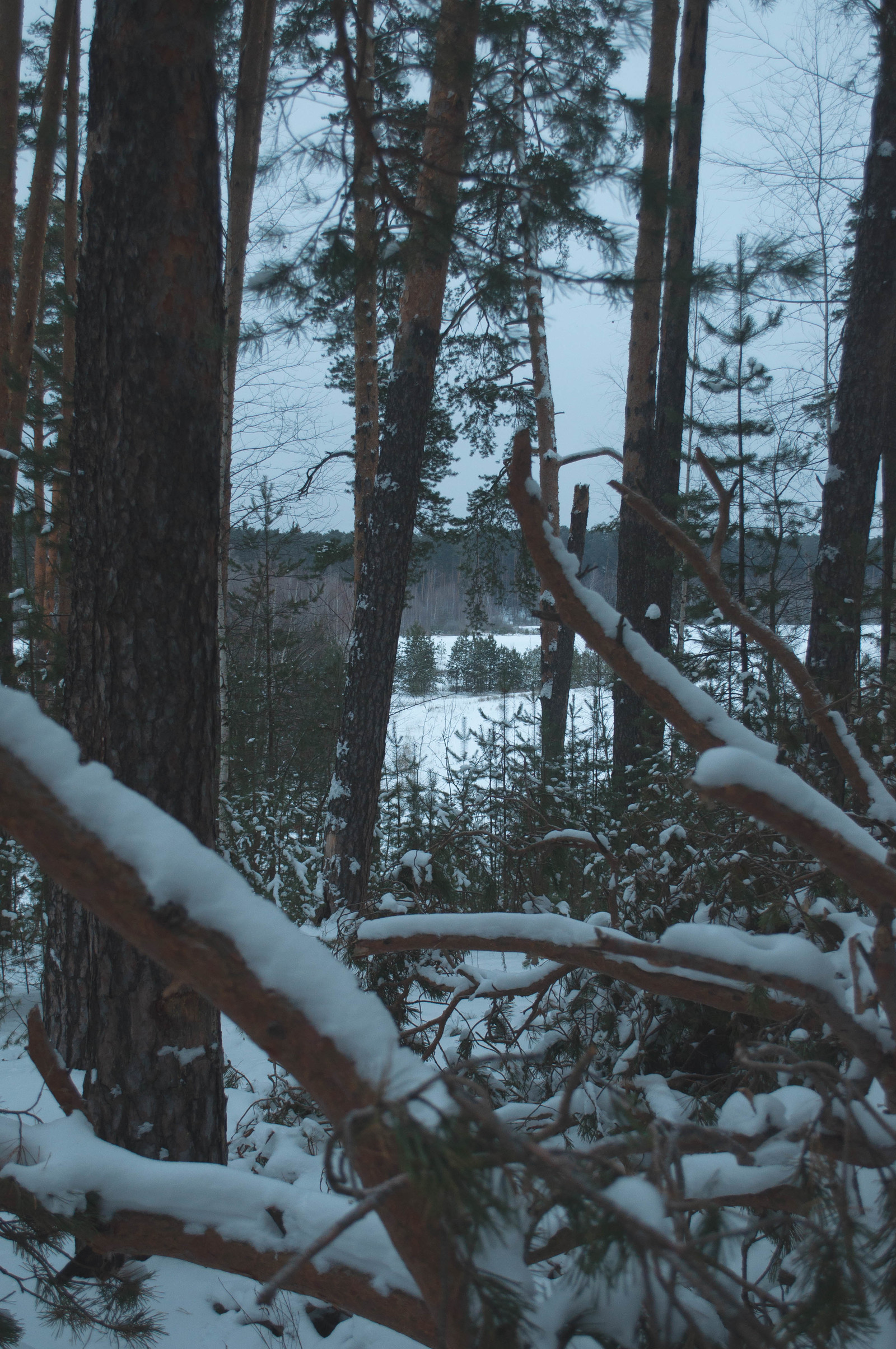 Photo walk. - My, The photo, Landscape, Winter, Nature, Hike, Russia, Kazan, Lebyazhye, Longpost