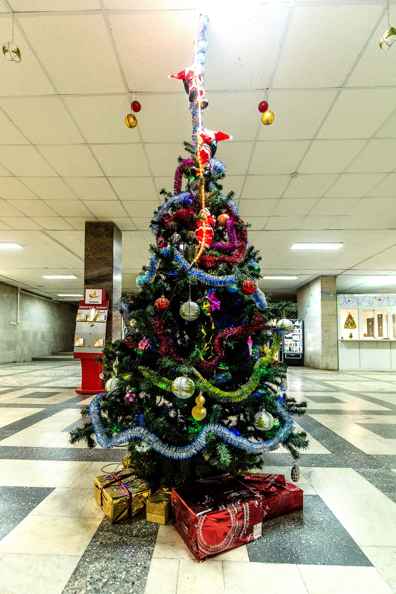 New Year's Minsk! - My, Minsk, Republic of Belarus, 2019, New Year, Christmas, Longpost