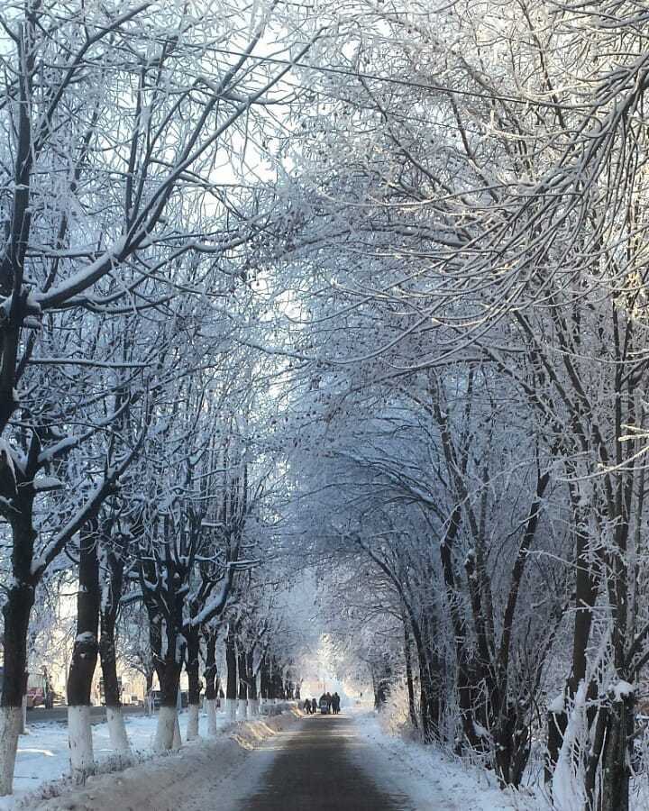 Владимир Зимой Фото