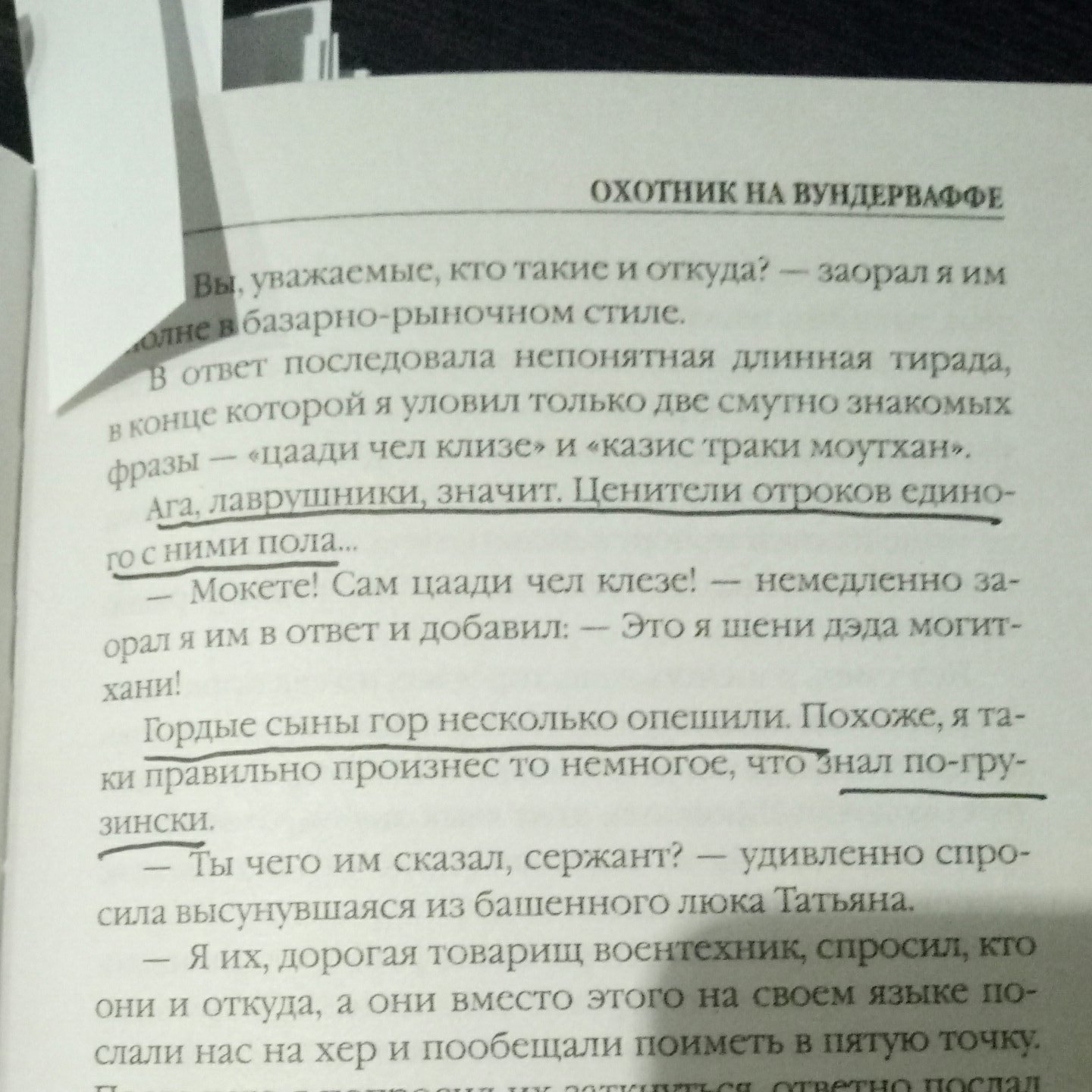 Можете написать всё, что угодно, и вам ничего за это не будет. МВД подтверждает. - Книги, Охотник на вундерваффе, МВД, Прокуратура, Длиннопост