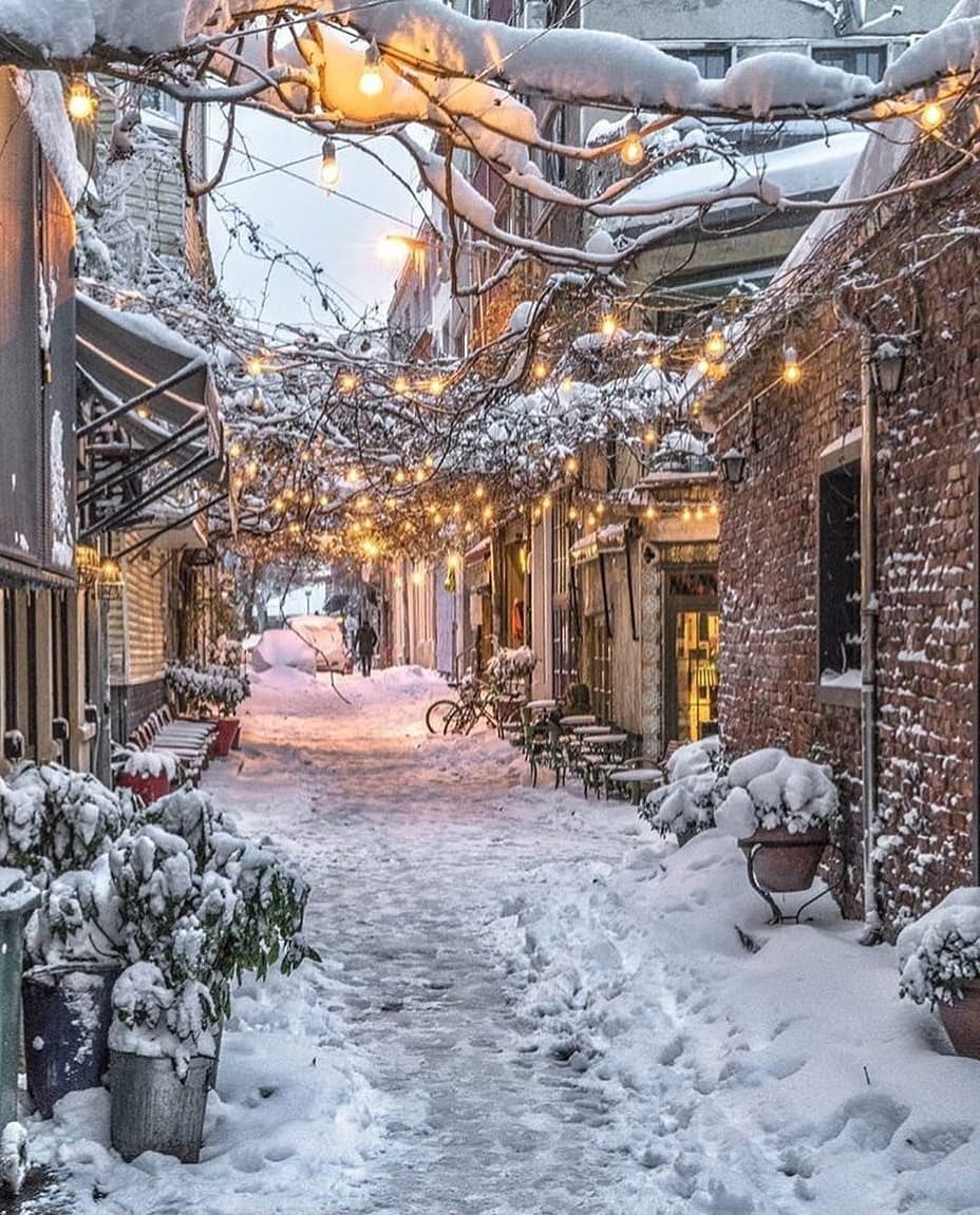 Cozy street - The street, Snow, Лампа, The photo