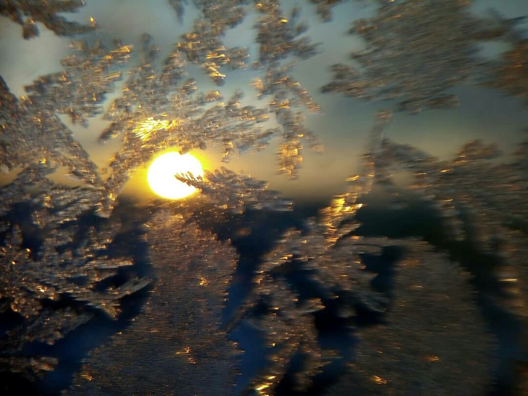 Frost draws miraculous landscapes on glass - My, Father Frost, freezing, Patterns, Sun rays