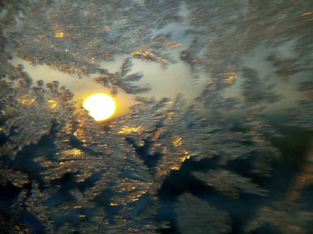 Frost draws miraculous landscapes on glass - My, Father Frost, freezing, Patterns, Sun rays