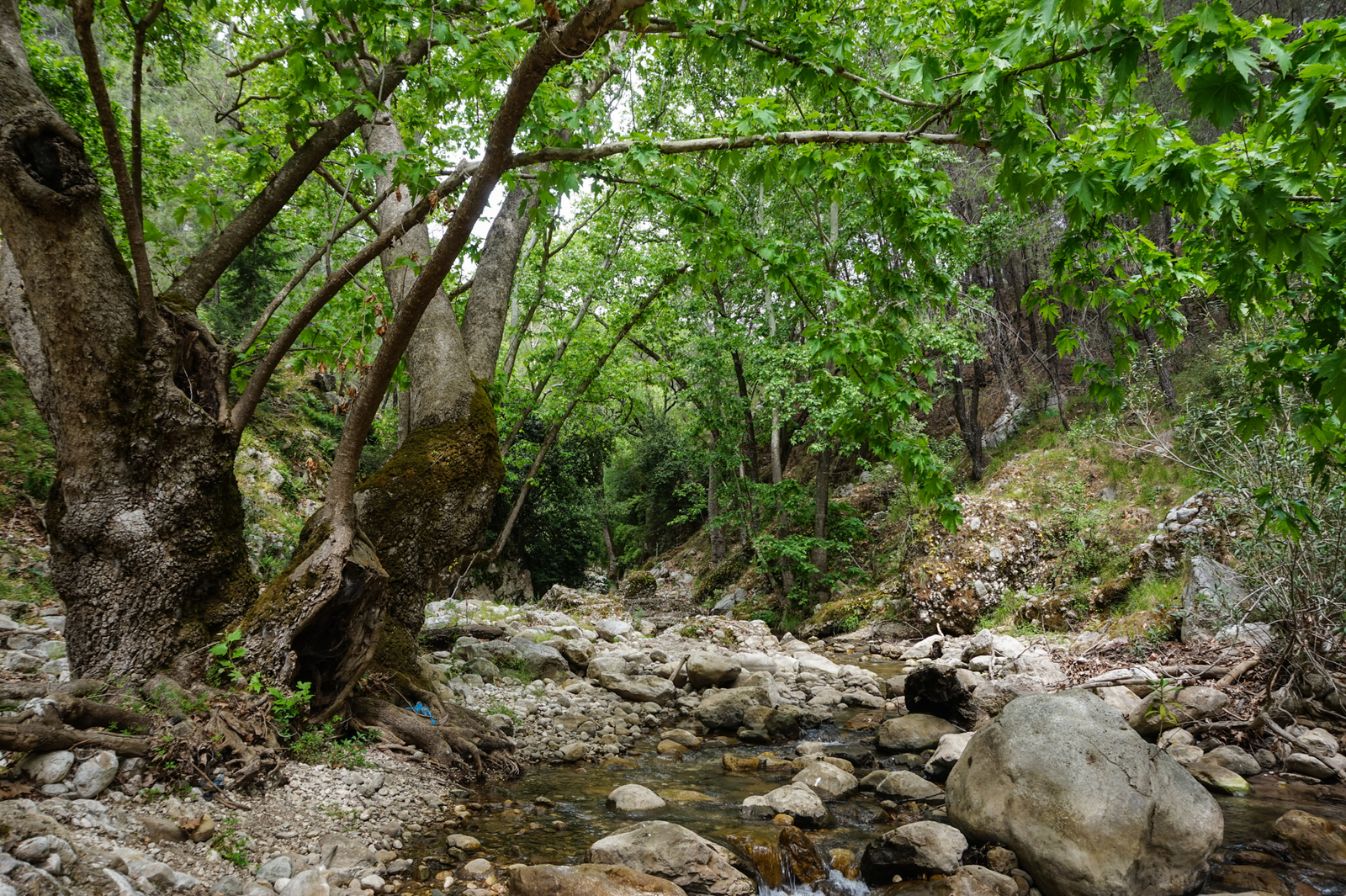 Lycian Way Day 5 - My, Lycian Trail, Turkey, Hike, Chimera Lights, Longpost