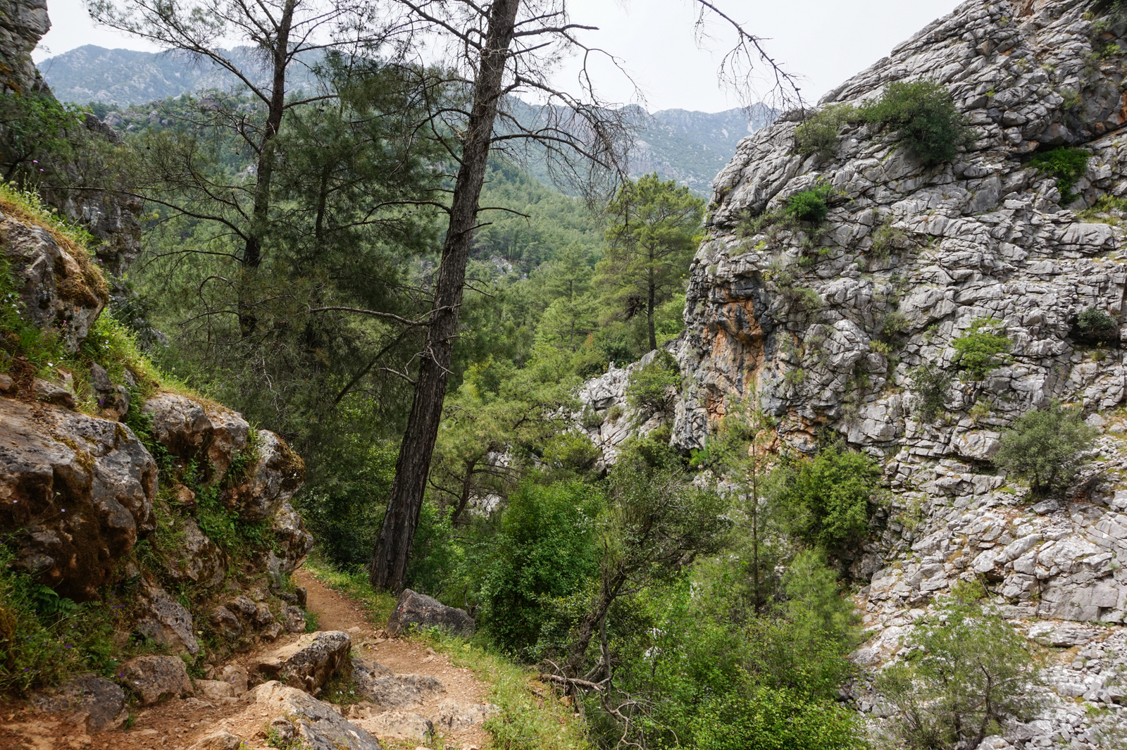 Lycian Way Day 5 - My, Lycian Trail, Turkey, Hike, Chimera Lights, Longpost