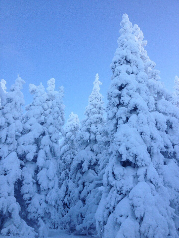 Big Iremel - My, Big Iremel, The photo, Nature, Hike, Longpost