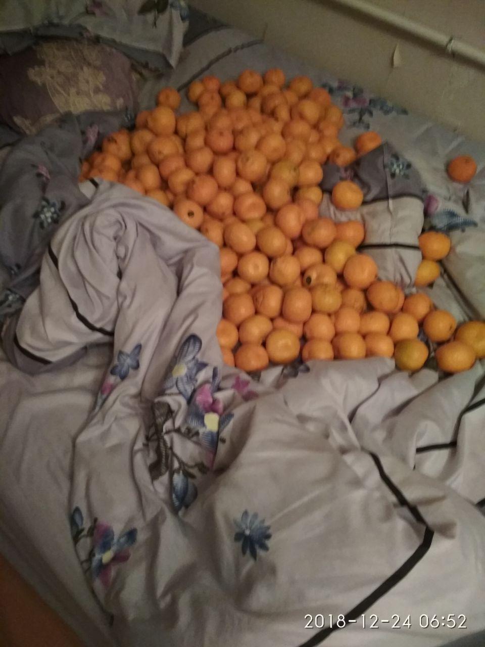 Fall asleep!) FATALITY)) - My, Tangerines, New Year, , Longpost