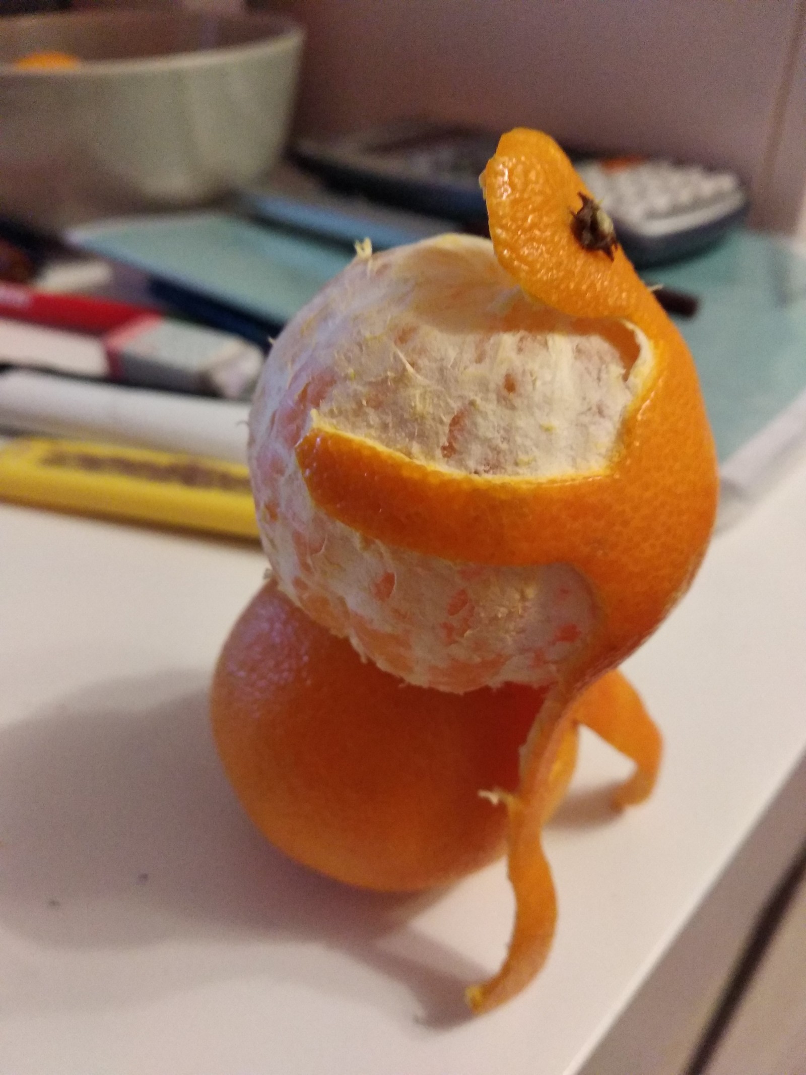 Attack on the tangerine, or how I made the laba. - My, Physics, Laboratory, Laboratory work, New Year, Tangerines, Glitches