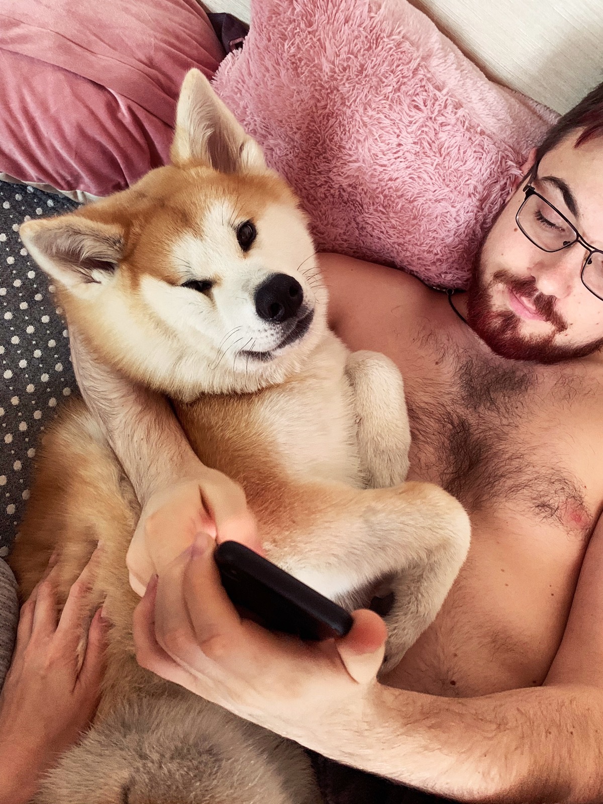 Me and Akita Inu - My, Akita inu, , Dog, , Fucking puppy, Longpost