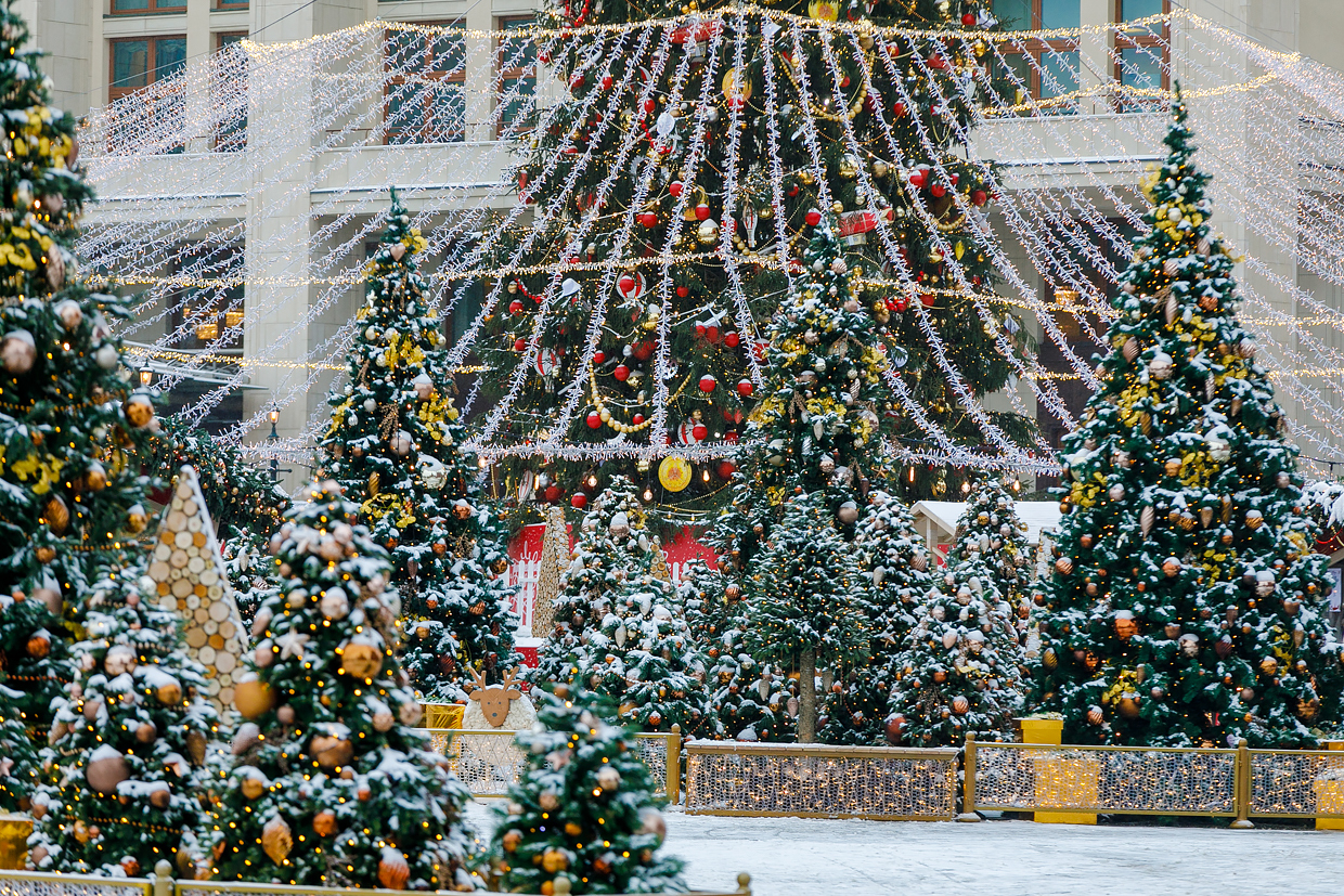 Excursion 23 km along the streets of Moscow - My, Moscow, the Red Square, New Year, Primdiscovery, Longpost