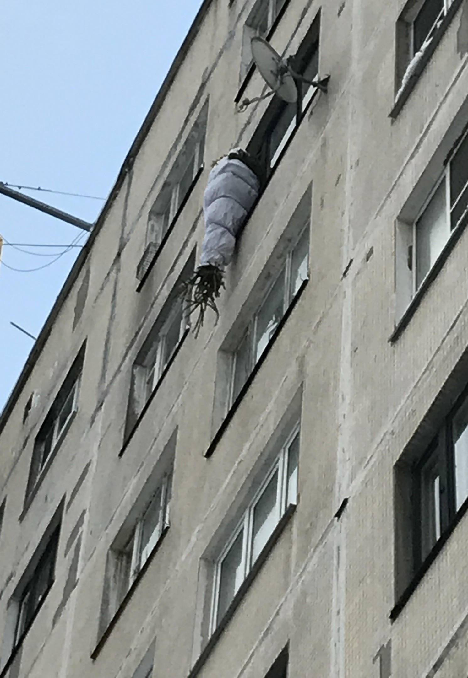 “Then we’ll put up a Christmas tree until it hangs” - Christmas trees, Window, New Year, Saint Petersburg, From the network