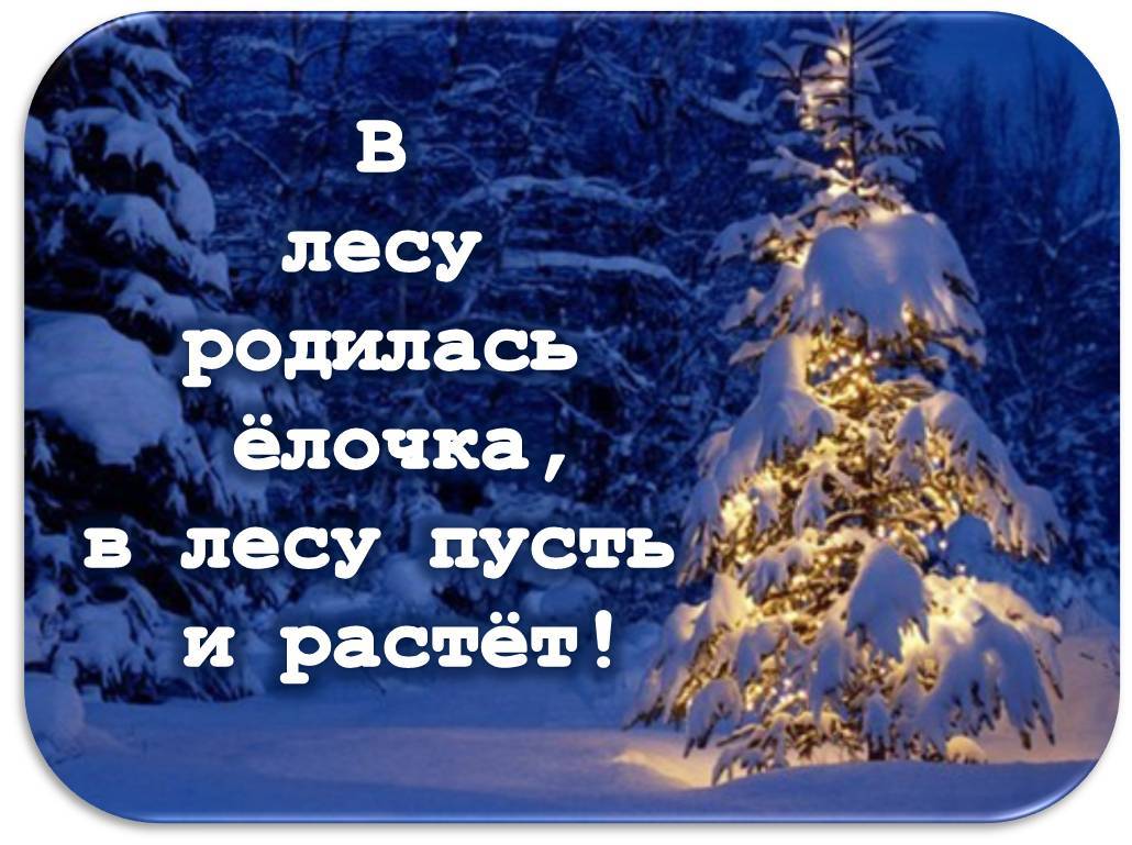 В лесу родилась ёлочка... - Новый Год, Праздники, Ёлки, В лесу родилась, Искусственный, Потребление, Рождество, Стихи, Длиннопост, В лесу родилась елочка