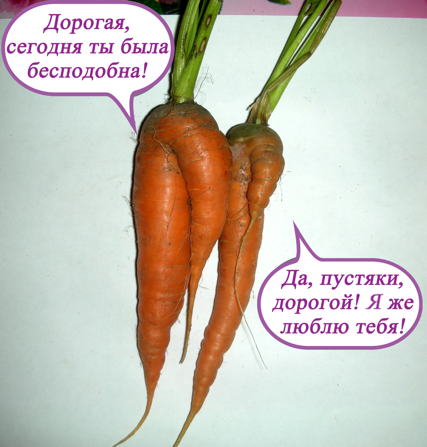 Age of Vegetables - My, Vegetables, , Longpost, GIF