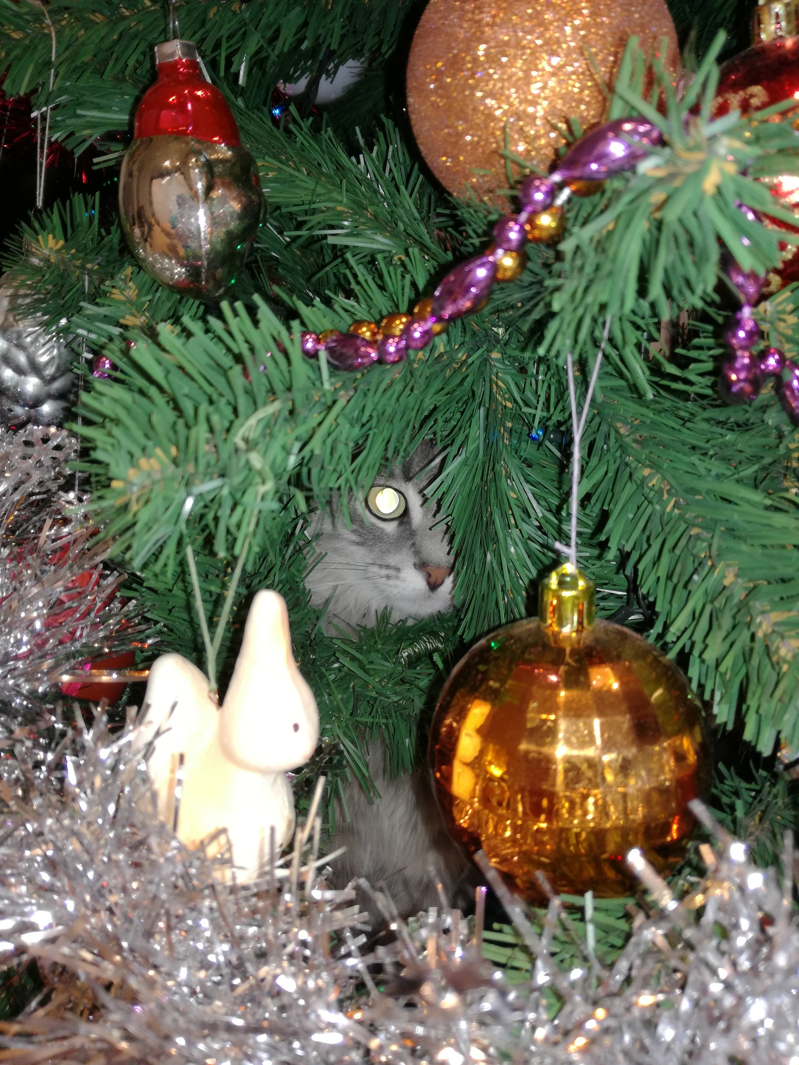 In ambush - My, cat, New Year, Christmas tree, Christmas trees, Catomafia