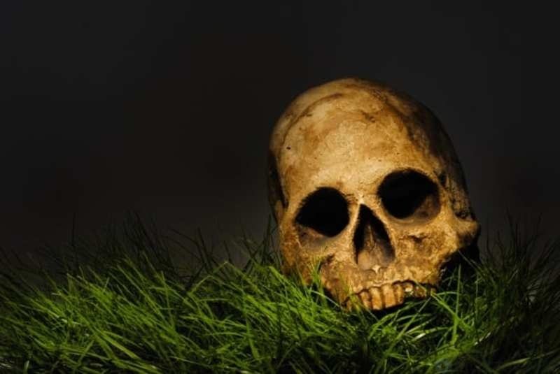 10 Terrifying Finds: Severed Heads And Their Stories - My, Find, , Death, The crime, Life stories, People, Horror, Longpost, Dismemberment