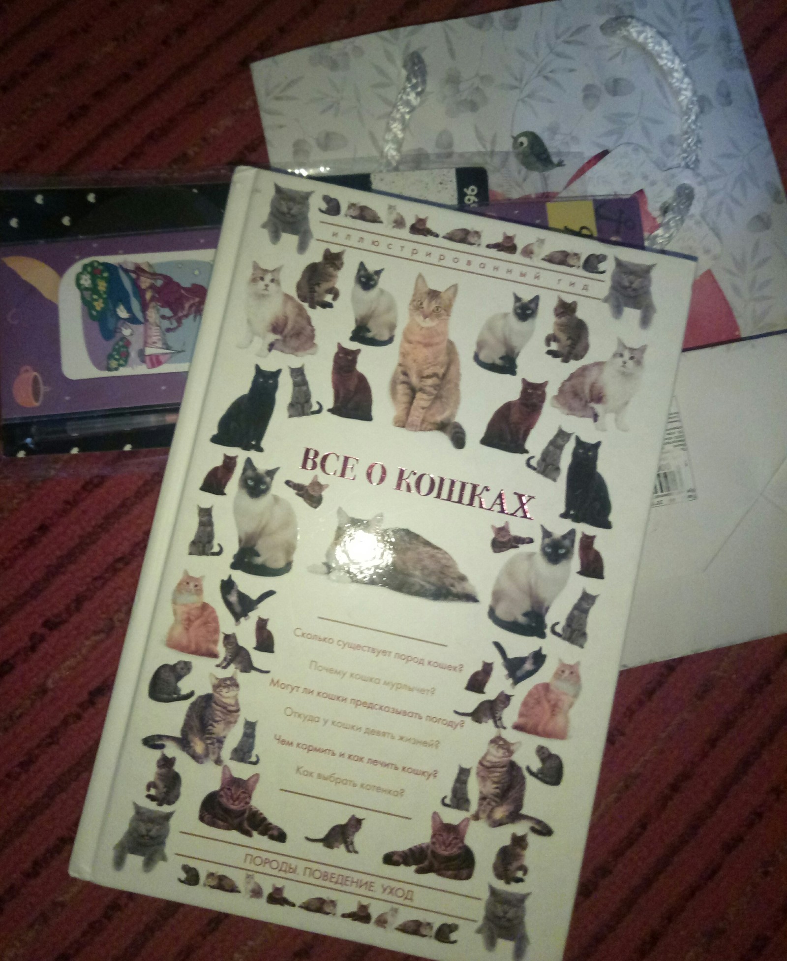 Shushary -Voronezh ADM Gift for a cat lover))) - My, Gift exchange, Gift exchange report, Longpost