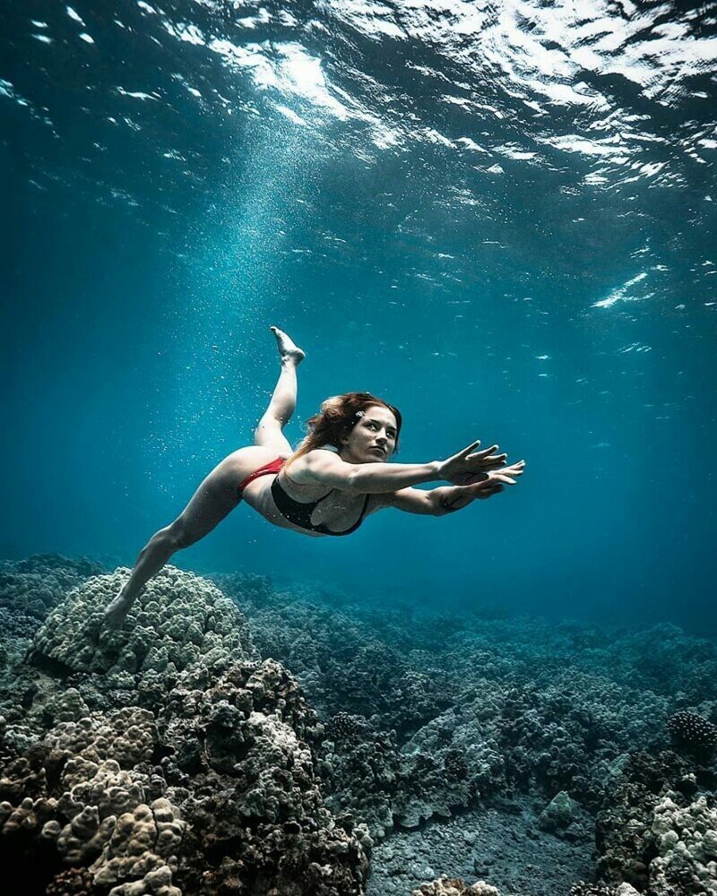 Beautiful underwater world by John Kowitz - Ocean, Girls, Diving, Longpost