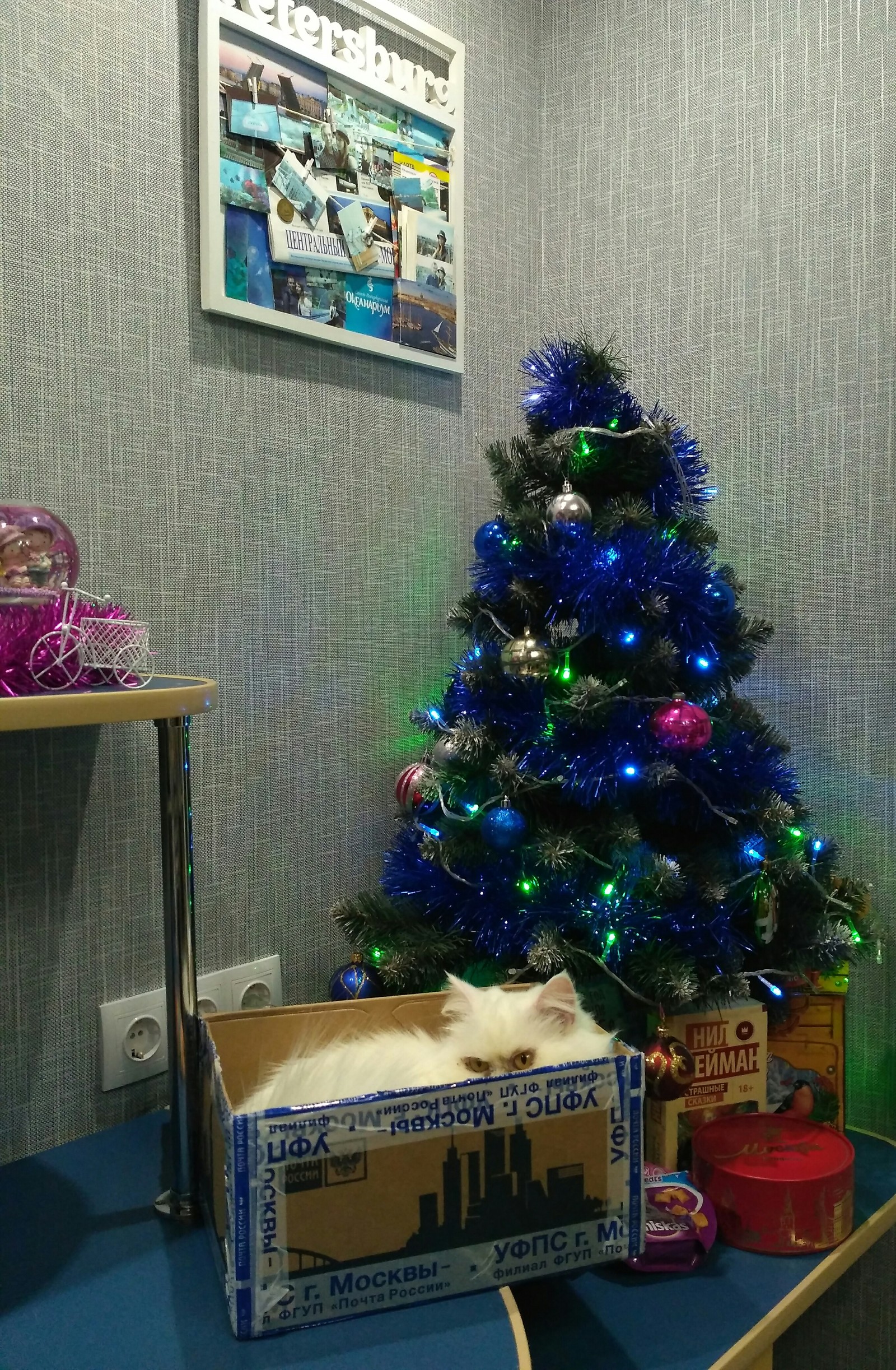 New Year mood from the great Motherland :) ADM Moscow - Minsk - My, Gift exchange report, Gift exchange, New Year's gift exchange, Secret Santa, Longpost, cat