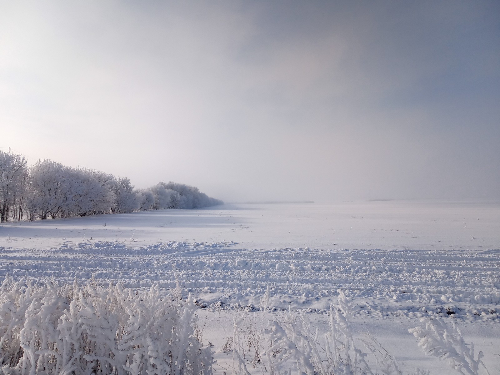 country winter - My, Winter, Snow, white white, Village, Longpost