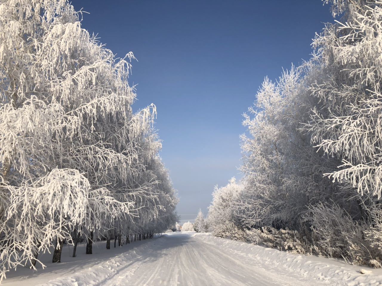 Christmas story - My, freezing, Nature