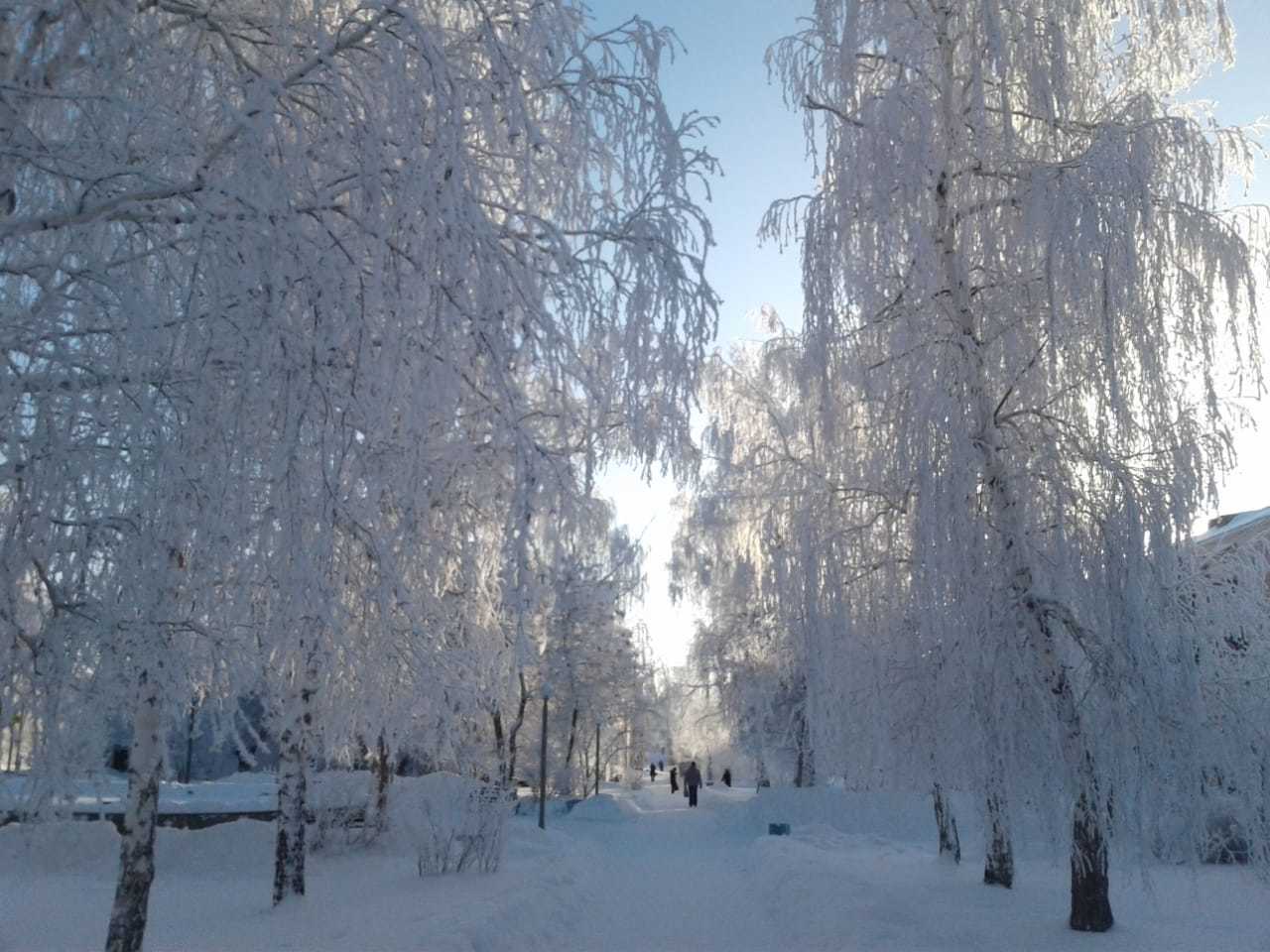 Christmas story - My, New Year, Mednogorsk, The photo, Longpost