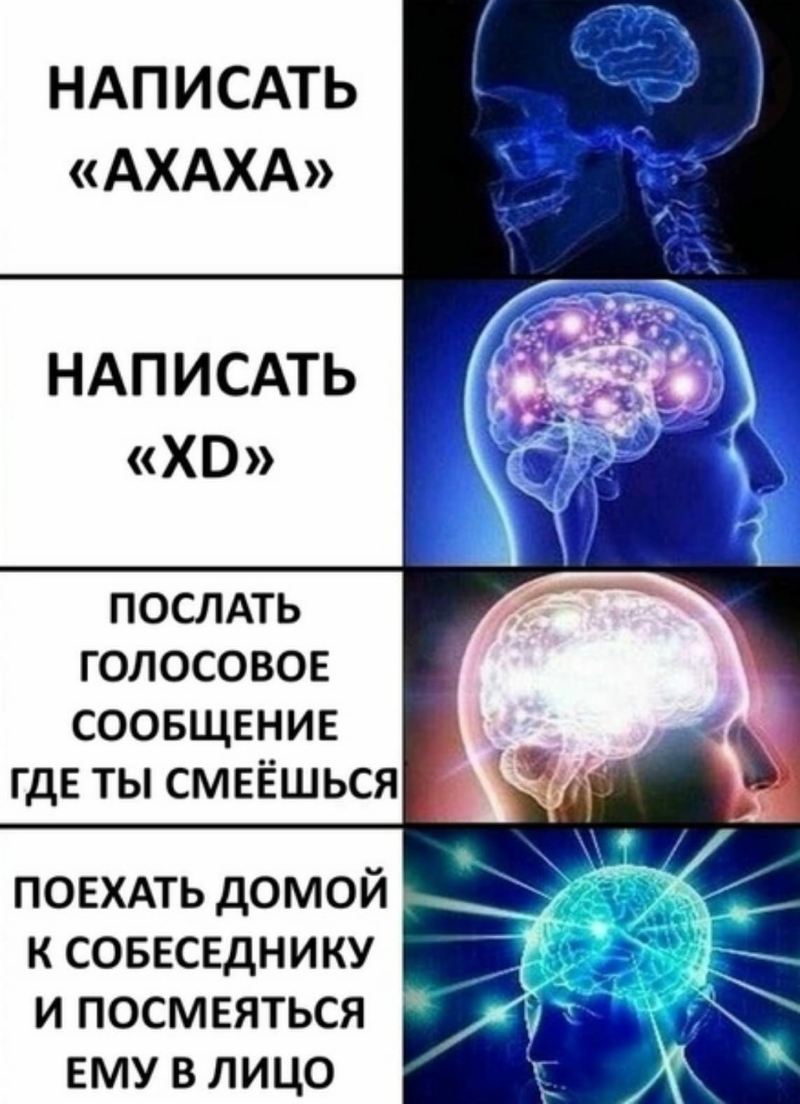Мемы Про Высший Разум