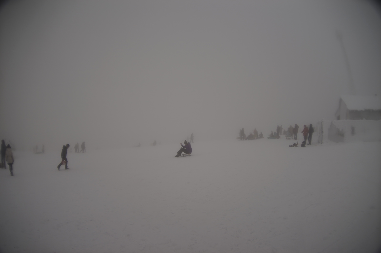 Break out into the snow!!! - My, Ai-Petri, Snow, Nature, Sled, Longpost