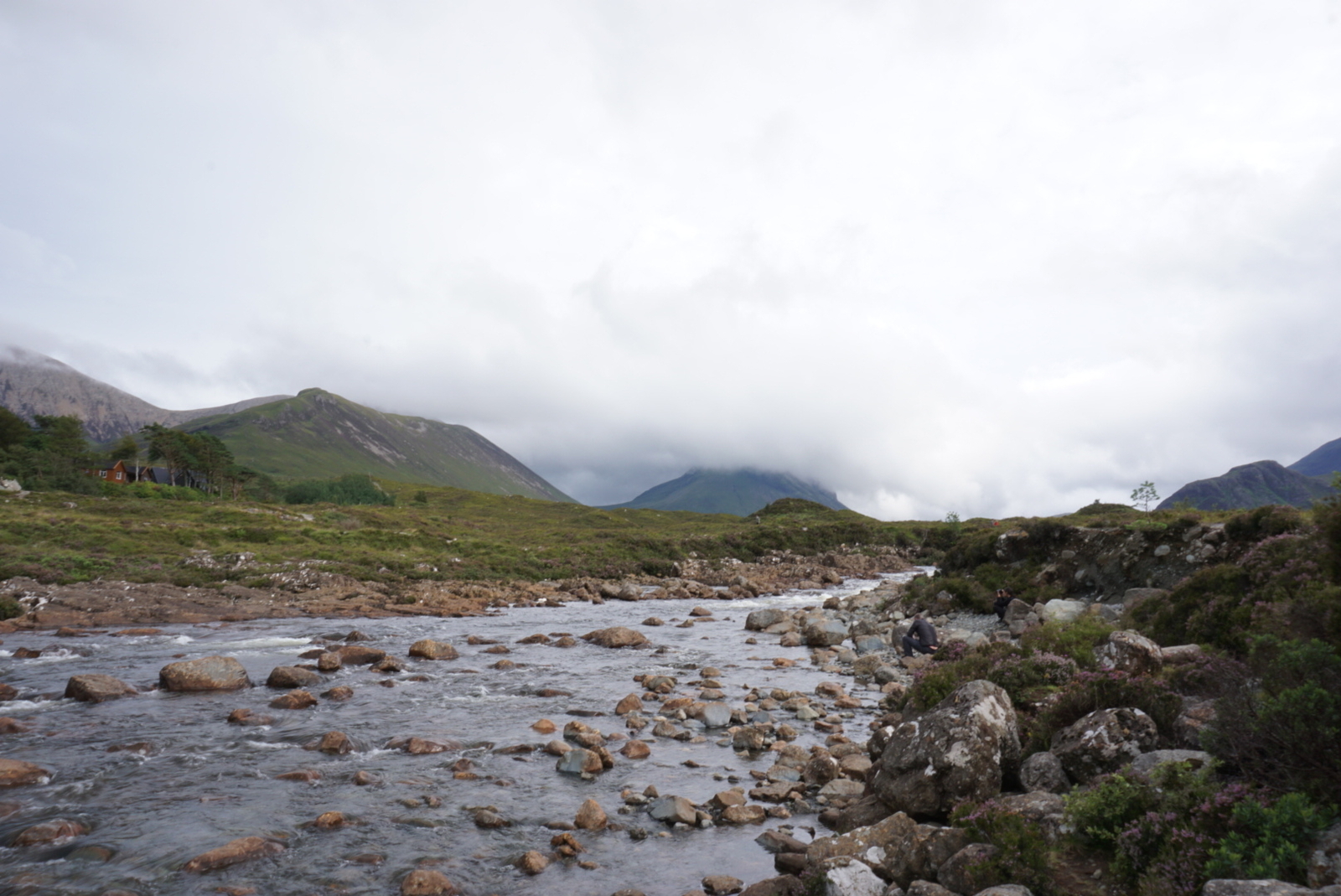 Scotland by car. Day 3 - My, Travels, Nature, Scotland, The photo, beauty of nature, Greenery, Fog, Landscape, Longpost