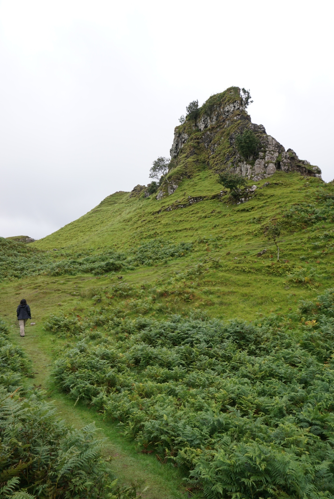 Scotland by car. Day 3 - My, Travels, Nature, Scotland, The photo, beauty of nature, Greenery, Fog, Landscape, Longpost