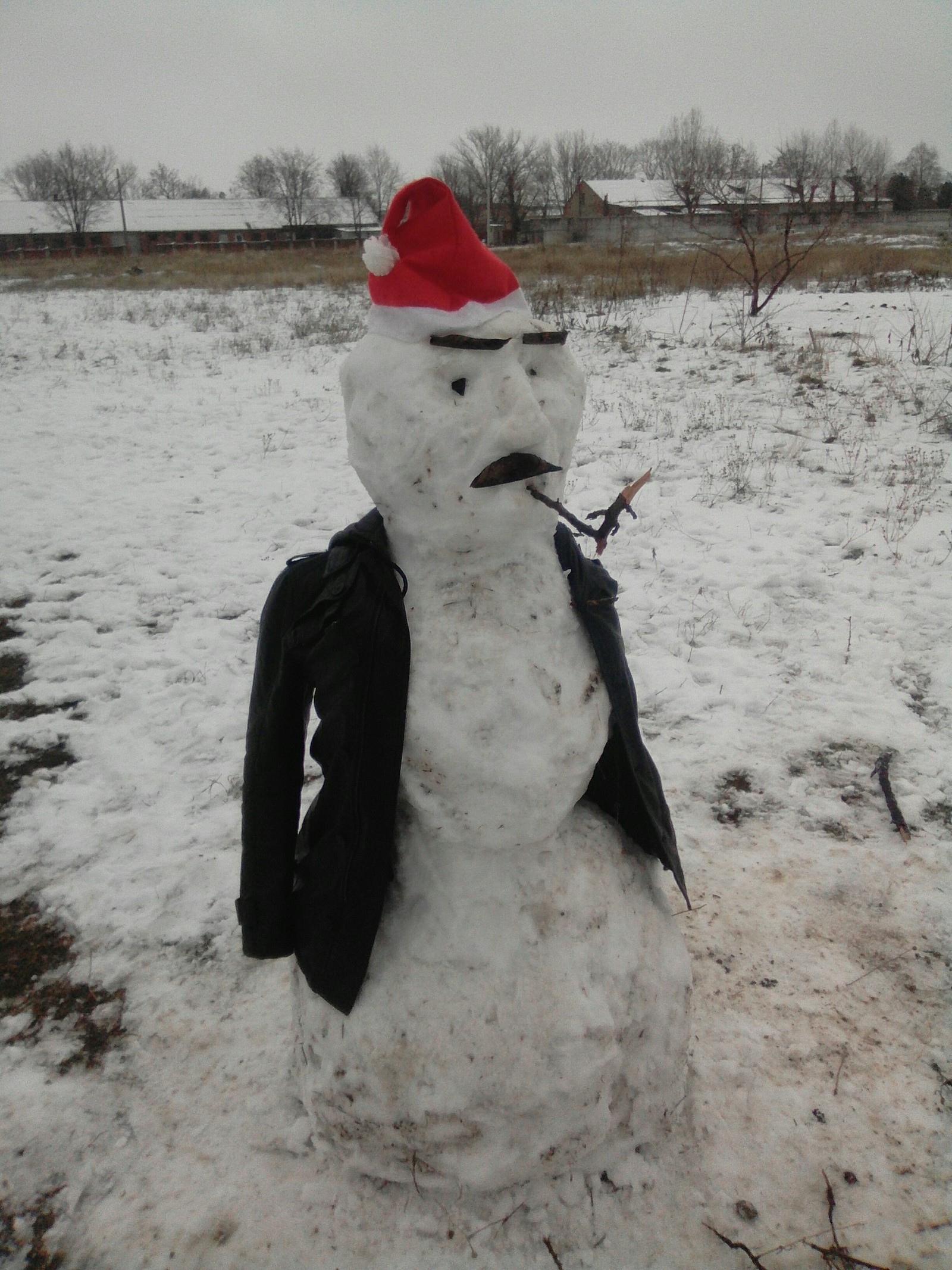 Made a snowman for the kids - My, snowman, Cattle, Longpost