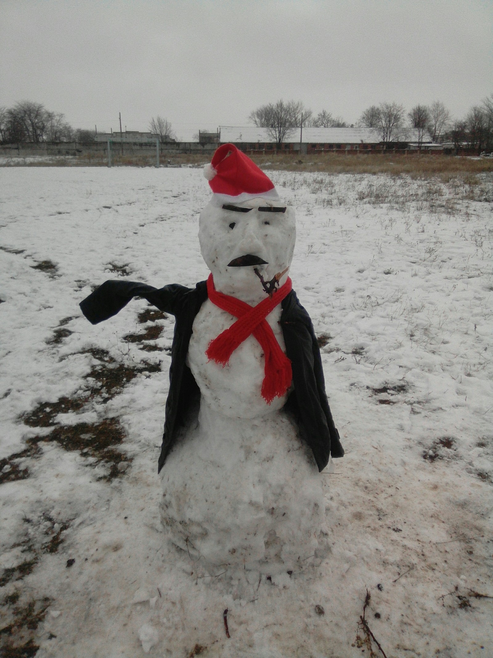 Made a snowman for the kids - My, snowman, Cattle, Longpost