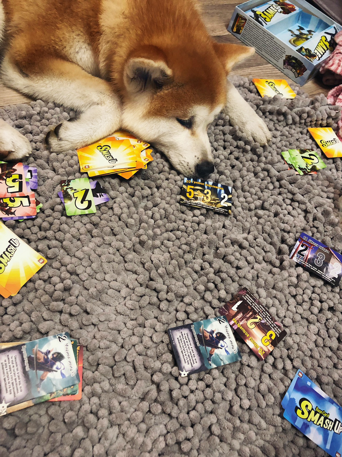 You can play with a puppy in different ways) - My, Board games, Tabletop, Kneading, Dog, Akita inu, , Puppies