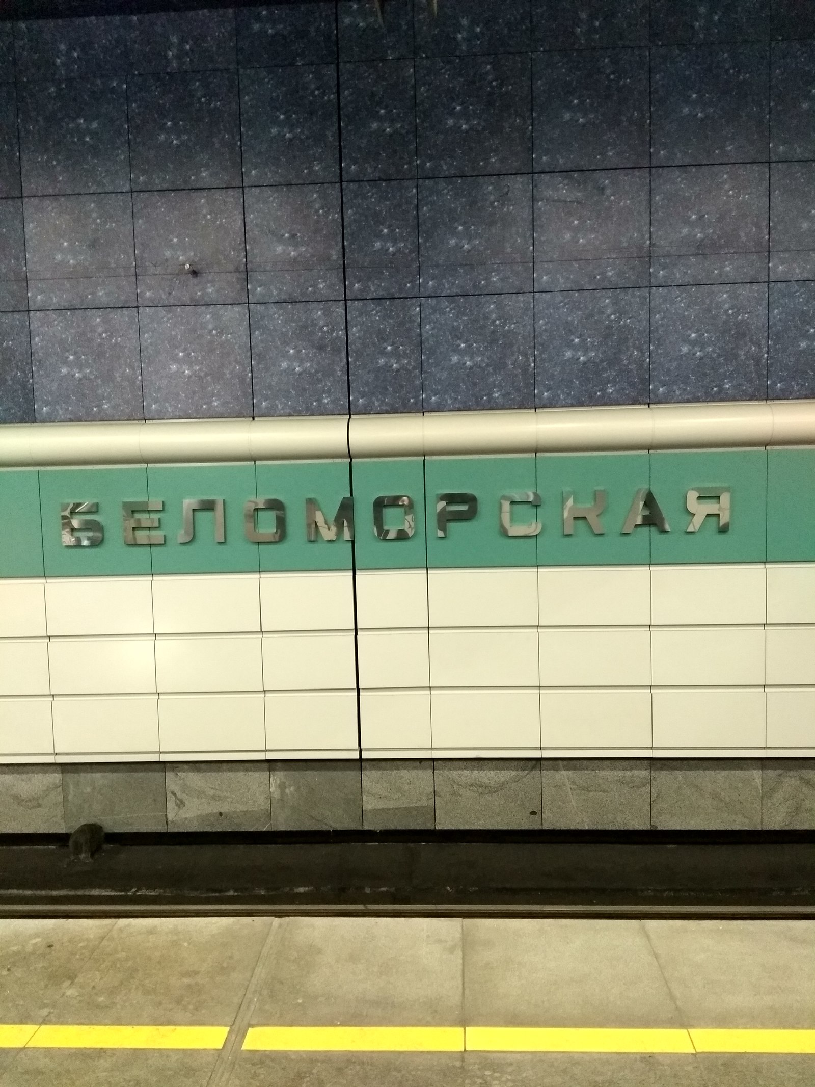 Море волнуется... 258 раз. Метро Беломорская - Моё, Москва, Длиннопост, Московское метро, Метро, Замоскворецкая линия метро