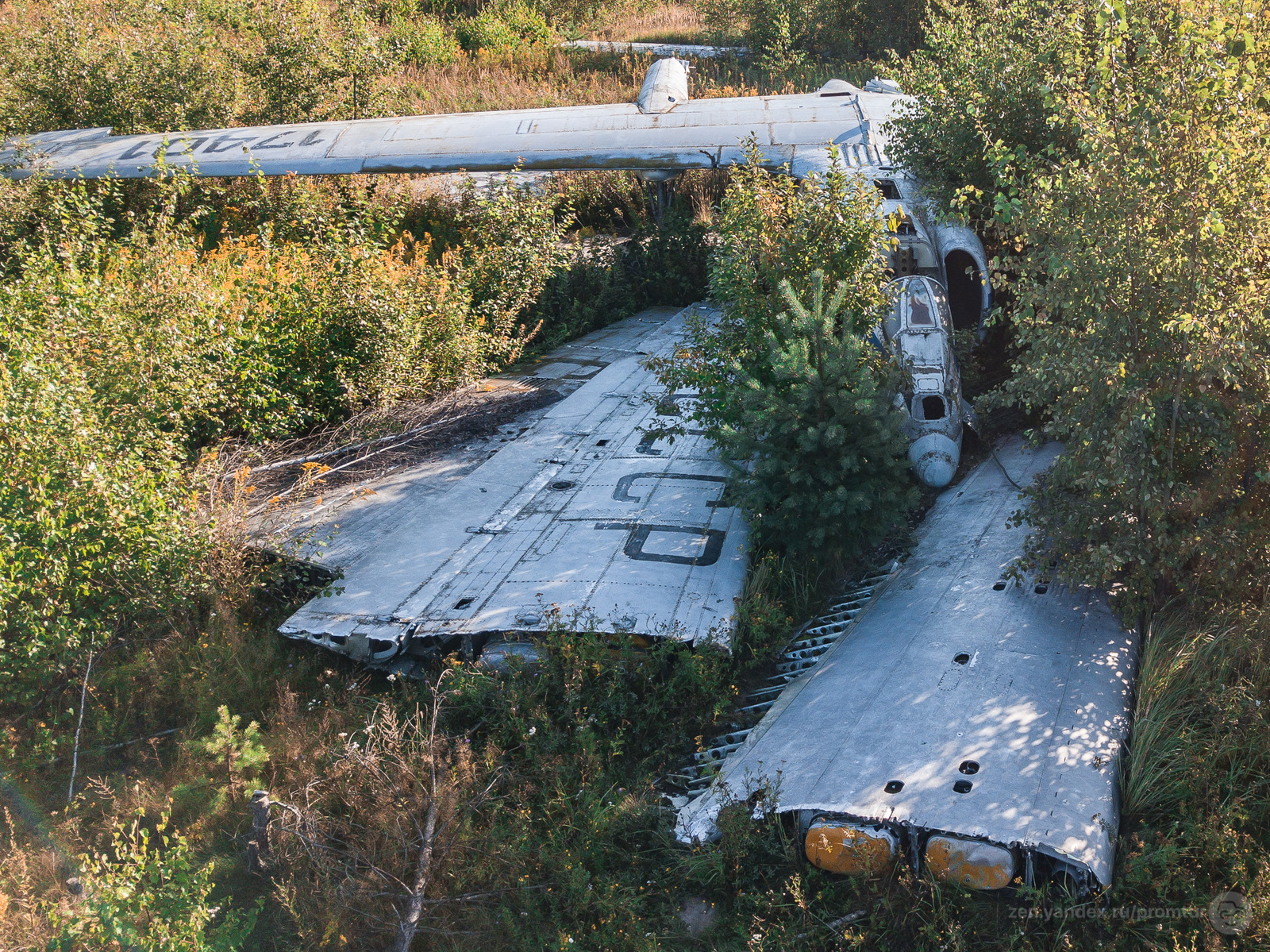 Abandoned M-17 Stratosphere - Abandoned, Monino, , Airplane, Longpost